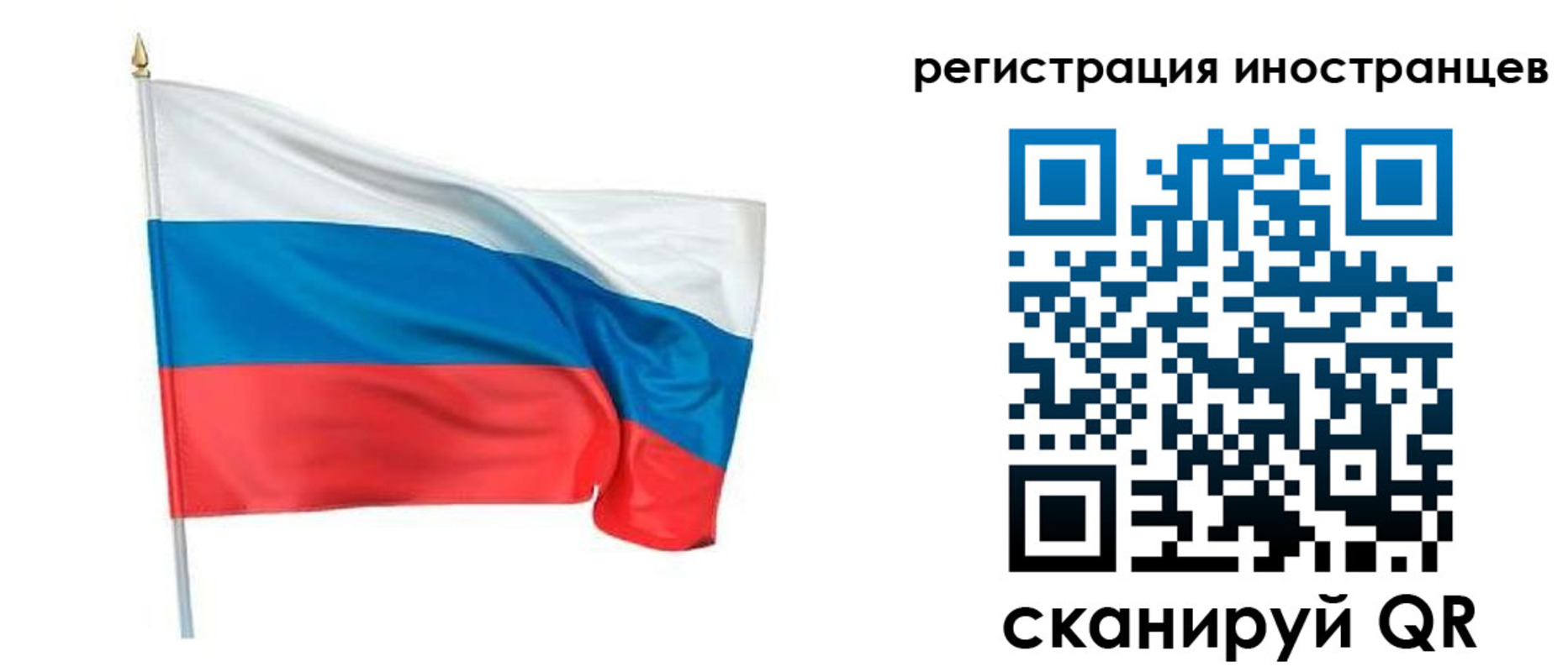прописка 2025 в Мончегорске